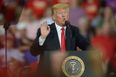 Some members of government will boycott any state events involving Donald Trump