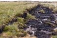 Bord na Móna to cut up to 430 jobs