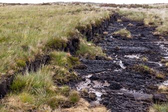 Bord na Móna to cut up to 430 jobs