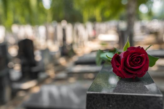 Death in Ireland