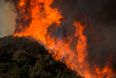 Death toll rises in California wildfire