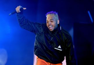 Chris Brown could face six months in prison after his pet monkey is seized