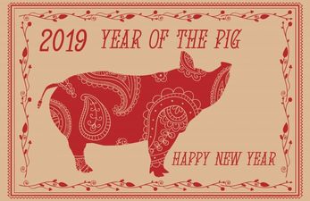 This Tuesday is Chinese New Year, here is your Chinese zodiac sign and what to expect from 2019