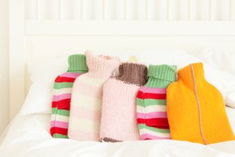PIC: Argos is now selling hot water bottles the size of a dog