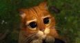 Bad news, Game of Thrones fans – Ser Pounce didn’t make it