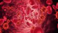 London patient becomes second man to be cleared of AIDS virus