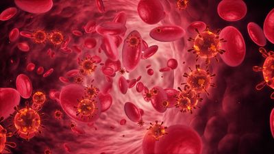 London patient becomes second man to be cleared of AIDS virus