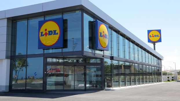 lidl pregnancy