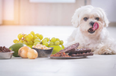 Dogs Trust warn about leaving chocolate lying around this Easter