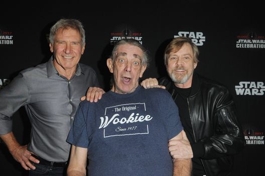 Peter Mayhew