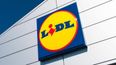 Lidl is selling a bouncy castle for €35 so our summer is sorted