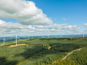 ‘Whatever it takes, we can do it’ – Irish energy entrepreneur hopeful about saving the planet
