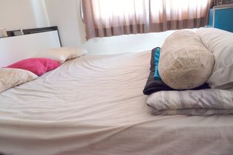 Warning issued over bed bugs in Ireland following significant increase in infestations