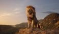 Here are the SEVEN movies coming to cinemas in July we’re very excited about