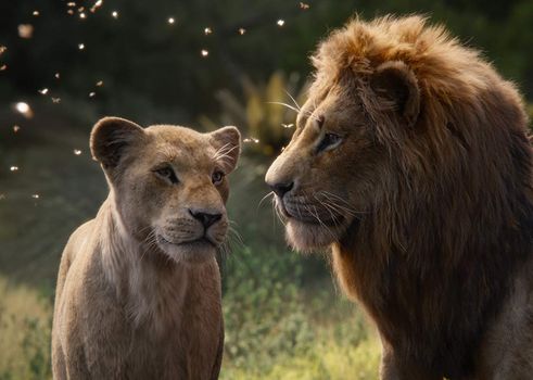 the lion king beyonce