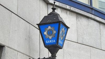 Investigation launched after dog found “decapitated” in bin shed in south Dublin