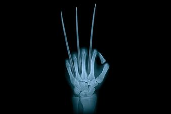 The man who cast RDJ as Iron Man shares his thoughts on who should play the new Wolverine