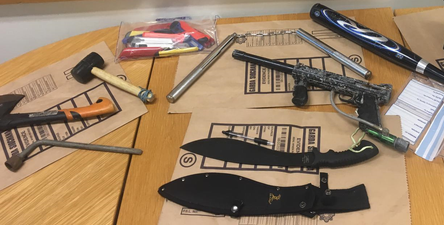 Gardaí seize variety of weapons, attack-dog suit and pitbull in Dublin