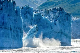 WATCH: Greenland’s ice sheet just lost 11 billion tons of ice in one day