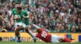 Omniplex cinemas to host free screenings of Ireland’s Rugby World Cup matches
