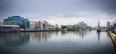 Whale spotted in the River Liffey has died