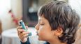 Some asthma inhalers as bad for environment as eating meat, says study