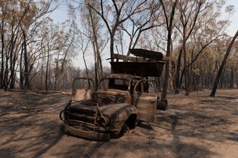 State of emergency declared for Sydney due to ‘the most dangerous bushfire Australia has ever seen’