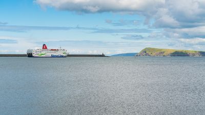 ‘International protection’ sought by 14 men found in container at Rosslare Harbour, two juveniles now in care of Tusla