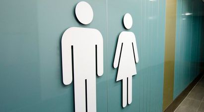 Bold new, physically uncomfortable toilet design aims to cut down on employees dossing in the workplace