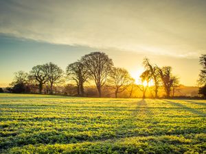 Met Éireann predicts the weather will get ‘drier and milder’ leading into the New Year