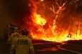 480 million animals feared to have died as Australian bushfires are set to get worse