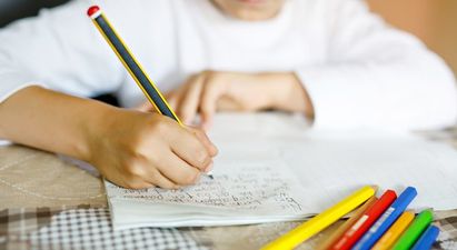 Green Party proposes removing homework in primary schools if elected