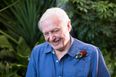 Tiger Woods, Robin Williams & David Attenborough documentaries on the way as Sky launch two brand new channels
