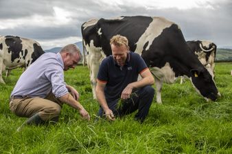 Doireann Garrihy and Greg O’Shea team up in campaign paying tribute to Irish dairy farmers
