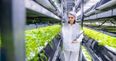 Why precision nutrition could influence what the farm of 2050 looks like