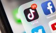 IFA President brands TikTok farming prank videos a “disgrace”