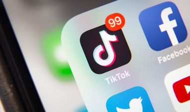 IFA President brands TikTok farming prank videos a “disgrace”