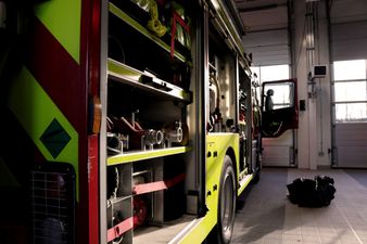 Up to 2,000 pigs have died following a fire in Down