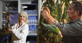 “We’ll help Irish farmers farm better” – scientist winner of EY Entrepreneur of the Year reveals future plans