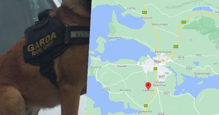 Gardaí in Sligo arrest teenager in connection with drugs’ seizure worth €196,000