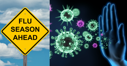 Zero: The number of flu cases reported in Ireland this winter