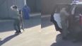 Policeman resigns over video of him choking police dog (Warning: Graphic content)