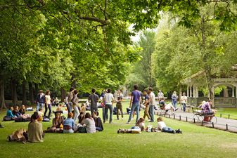 Gardaí investigating after a “number of youths” attacked a group of boys in St Stephen’s Green