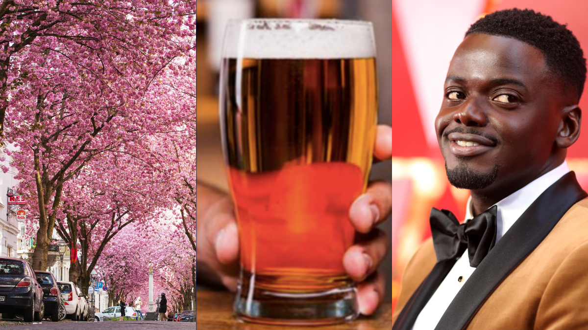 The JOE Friday Pub Quiz Week 238