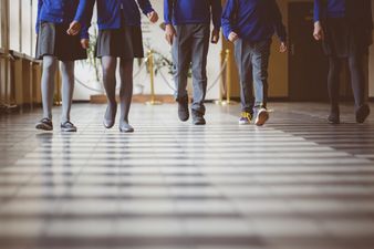 TD warns new sex education programme for Catholic primary schools could be “harmful”