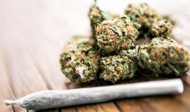 Cannabis is the “gravest threat” to the mental health of young people, College of Psychiatrists Ireland says