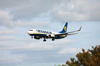 Ryanair CEO calls on Eamon Ryan to explain why Ireland was not ready to comply with EU travel cert