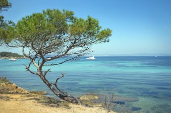 Irish woman tragically drowns in the south of France