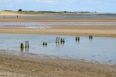 Do Not Swim Notice issued for Dublin beach over “unacceptable levels of bacteria”