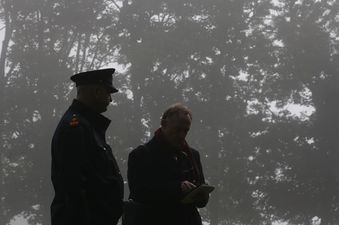 Gardaí search woodland in Kildare after “unusual activity” during Deirdre Jacob disappearance